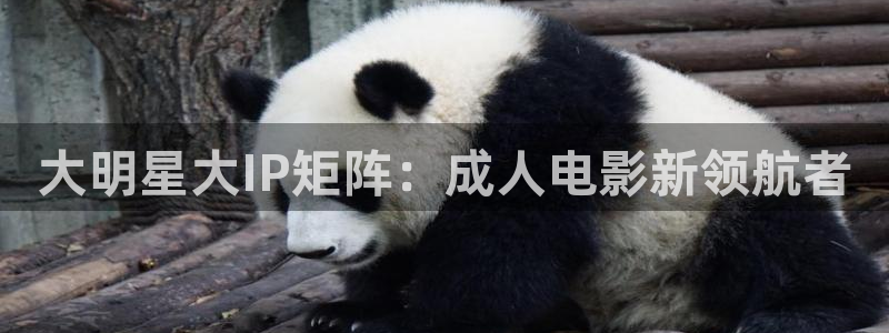 久久影院电影推荐：大明星大IP矩阵：成人电影新领航者