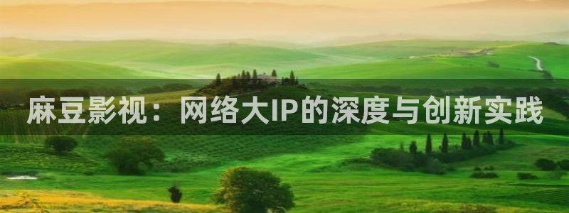 久久国产精品影片：麻豆影视：网络大IP的深度与创新实践