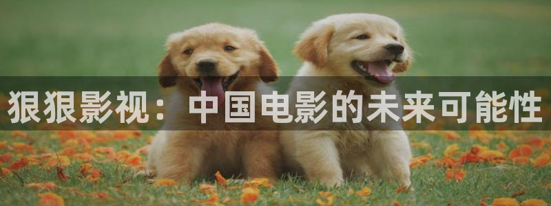 久久国产精品成人影院：狠狠影视：中国电影的未来可能性