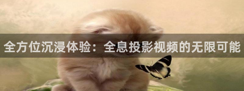 国产嫩草影院久久久：全方位沉浸体验：全息投影视频的无限可能